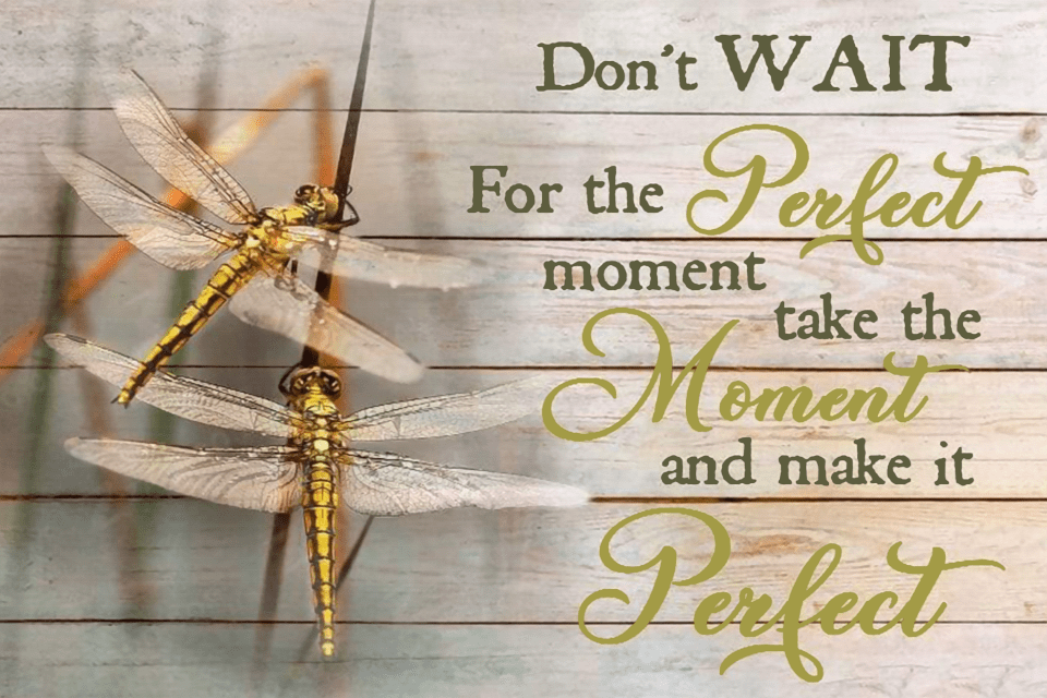 Make It Perfect Dragonfly Poster Wall Art Home Decor Poster Sprint